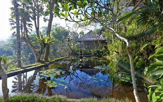 Náhled objektu Tjampuhan, Ubud, ostrov Bali, Asie