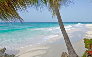 Náhled objektu Turtle Beach Resort by Elegant Hotels, Dover, Barbados, Karibik a Stř. Amerika