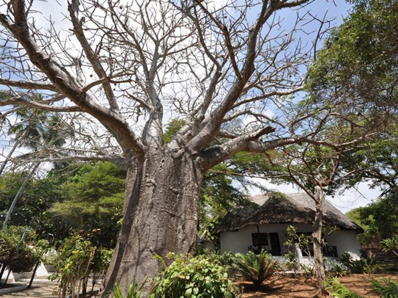 Baobab Sea Lodge