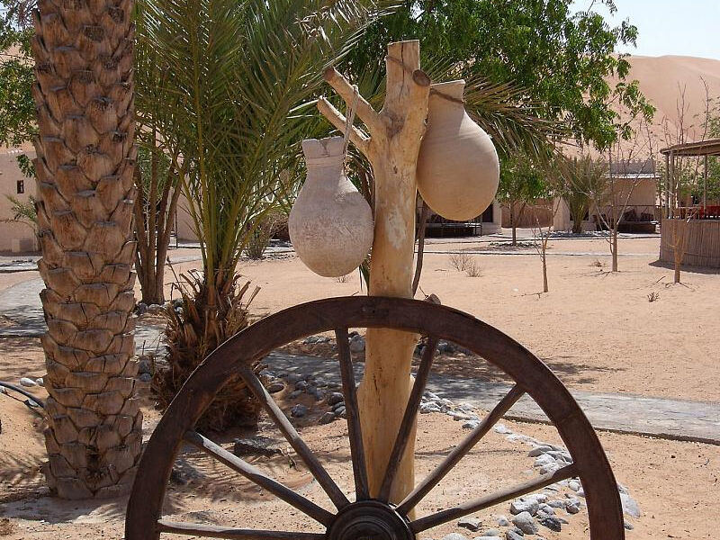 Desert Palm Oman