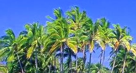 Playa Paraiso - ilustrační fotografie