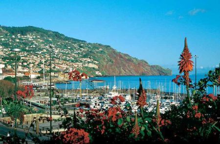 ostrov Madeira - ilustrační fotografie
