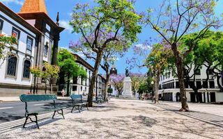 Náhled objektu Alojamento Central Ii, Funchal, ostrov Madeira, Portugalsko