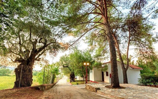 Náhled objektu Alykes Park Bungalows & Apartmens, Alykes, ostrov Zakynthos, Řecko
