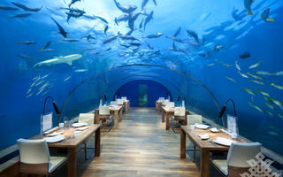 Náhled objektu Conrad Rangali Maldives, Jižní Atol Ari, Maledivy, Asie