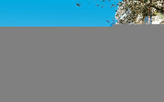 Náhled objektu Epidamn White Sensation, Drač (Durrës), Albánie, Evropa