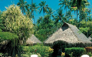Náhled objektu Hibiscus, Moorea, Francouzská Polynésie, Austrálie, Tichomoří