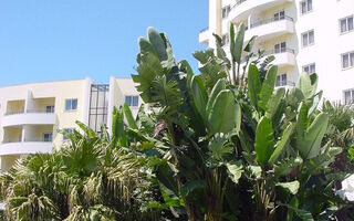Náhled objektu Jardins D' Ajuda, Funchal, ostrov Madeira, Portugalsko