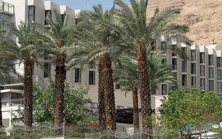 Náhled objektu Oasis Dead Sea, Mrtvé moře, Mrtvé moře, Blízký východ