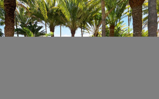 Náhled objektu Parque Tropical, Playa del Inglés, Gran Canaria, Kanárské ostrovy