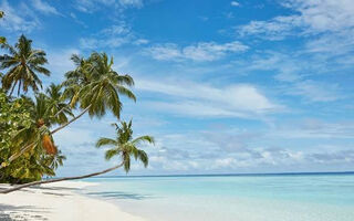 Náhled objektu Sun Siyam Vilu Reef, Jižní Atol Nilandhe, Maledivy, Asie