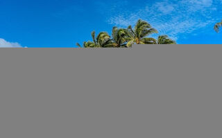 Náhled objektu The Reef Coco Beach, Playa del Carmen, Mexiko, Severní Amerika