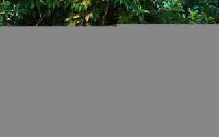 Náhled objektu Marianna, Malia, ostrov Kréta, Řecko