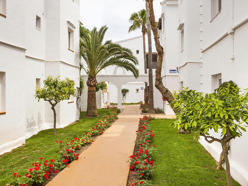 Globales Bouganvilla