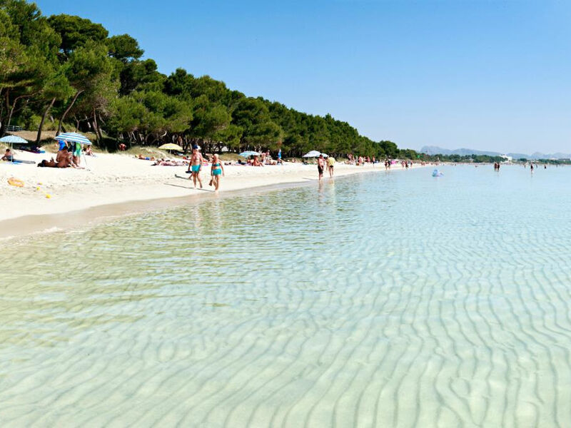 Sol Alcudia Center