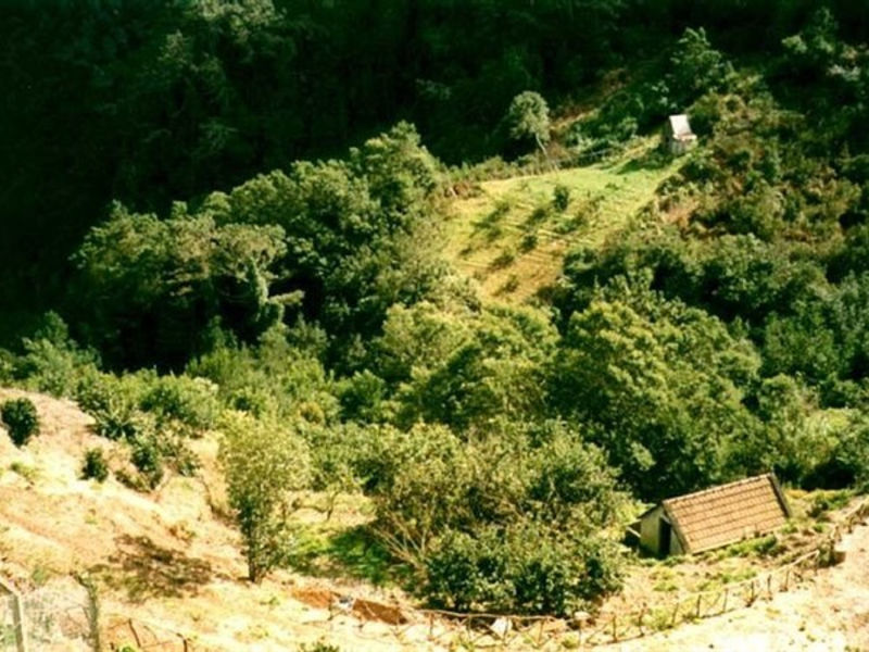 Cabanas de Sao Jorge Vilage