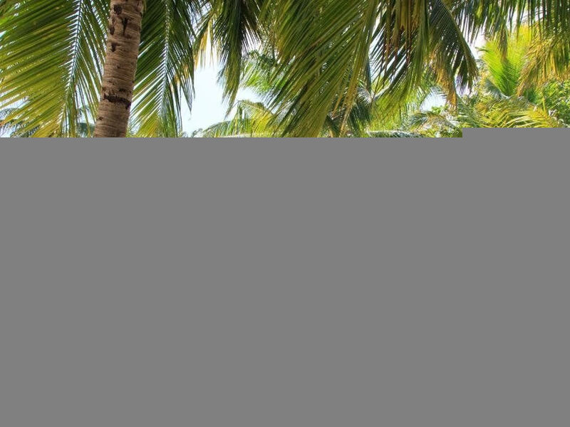 Equator Village Maldives