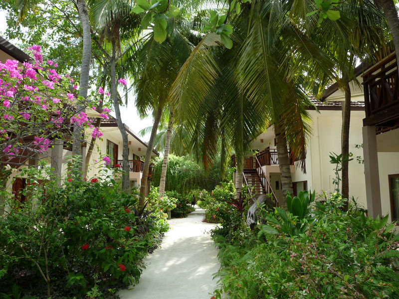 Ranveli