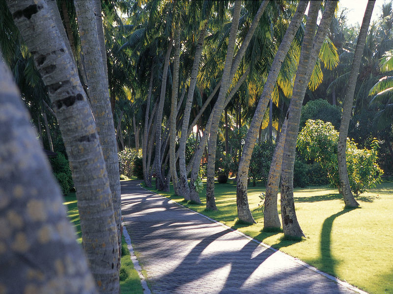 Sun Island bungalovy