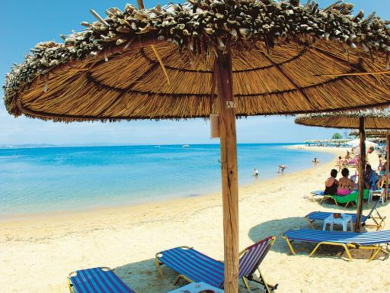 Across Golden Beach