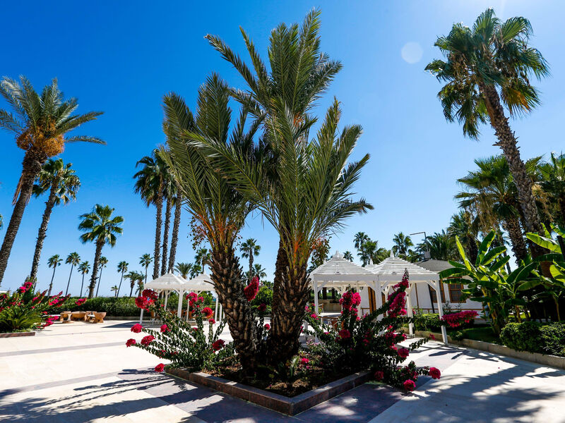Adora Resort