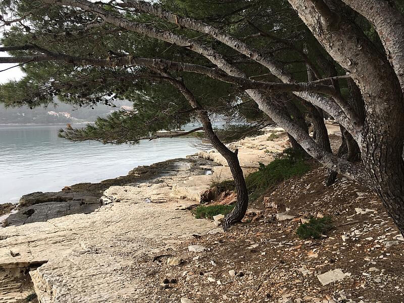 Adriatic