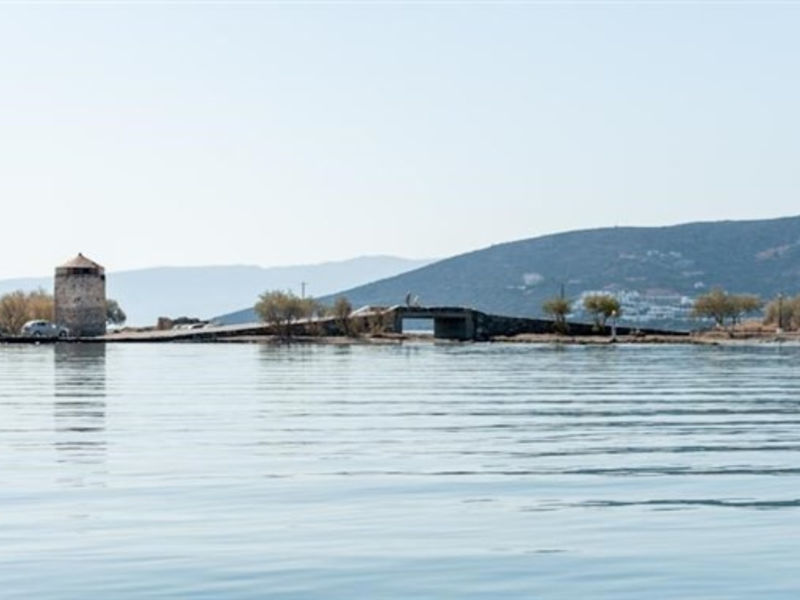 Akti Olous