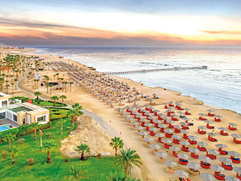 Albatros Oasis