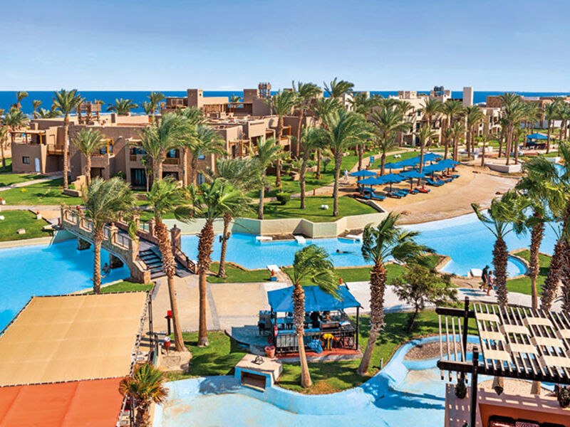 Albatros Oasis