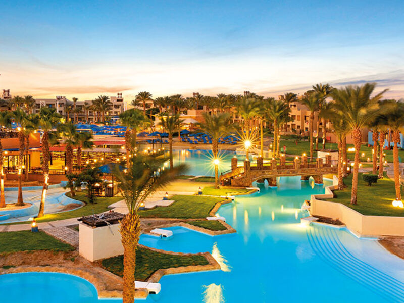 Albatros Oasis