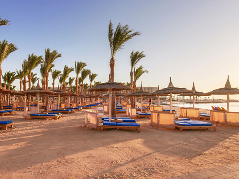 Albatros Palace Resort