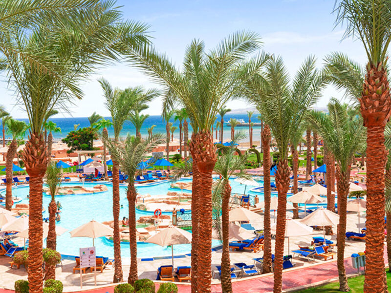 Albatros Palace Resort