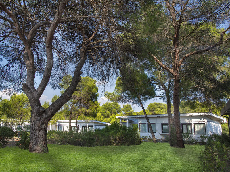 Alborea Ecolodge Resort