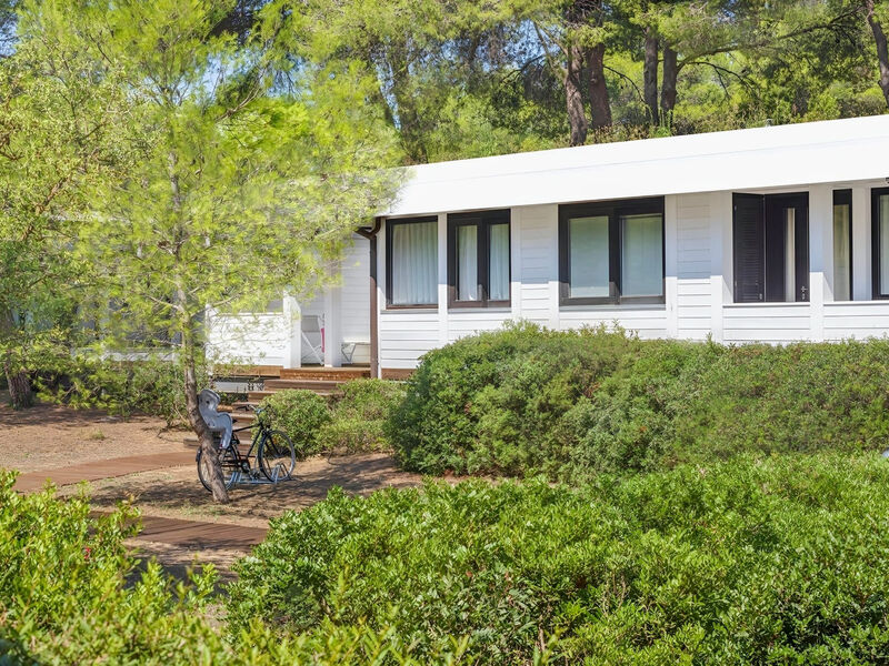 Alborea Ecolodge Resort