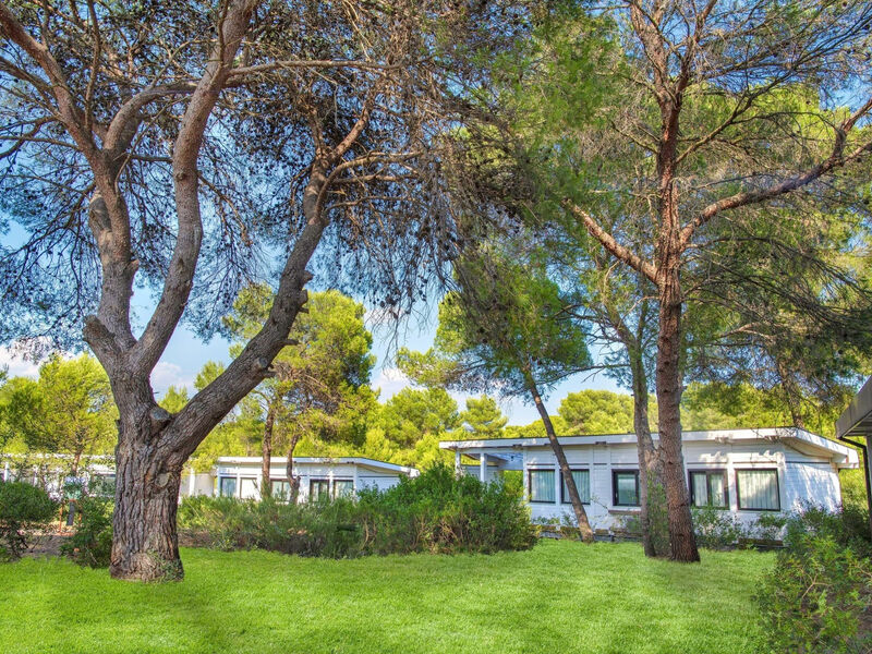 Alborea Ecolodge Resort