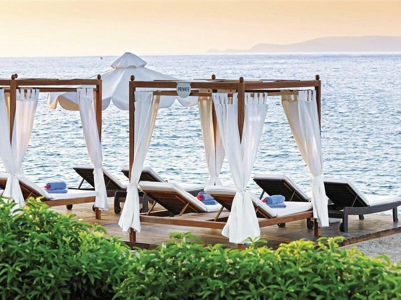 Aldemar Royal Mare