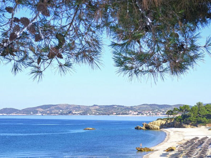 Alexandra Beach Thassos Spa Resort