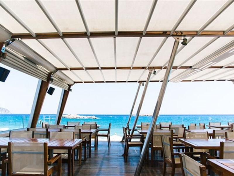 Alimounda Mare