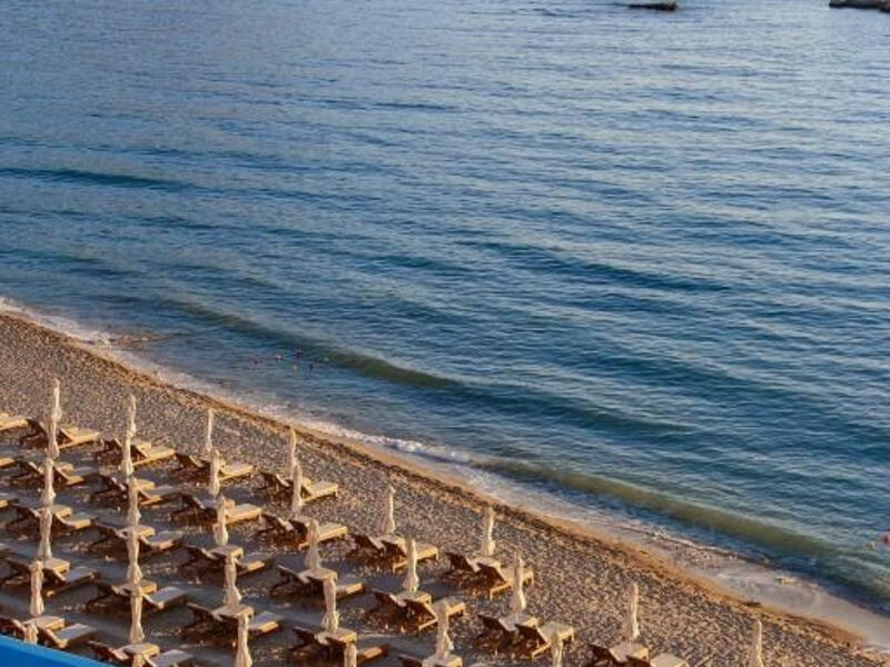 Alimounda Mare