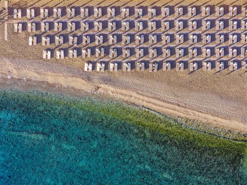 Alimounda Mare