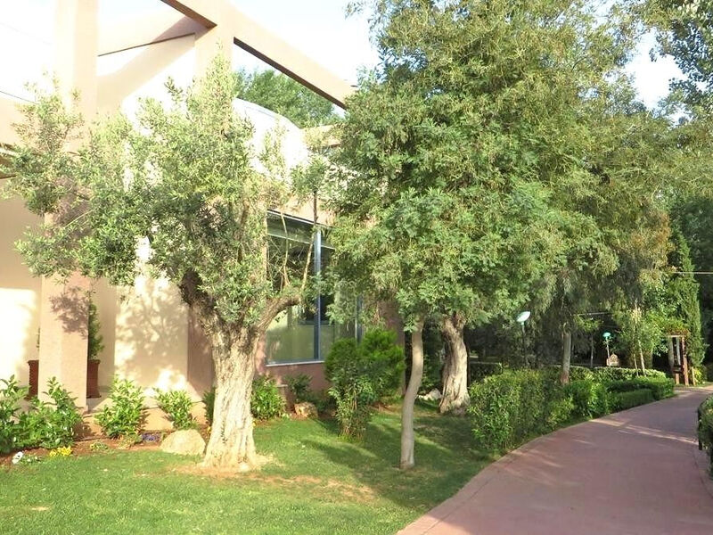 Alkyon Resort Hotel & Spa