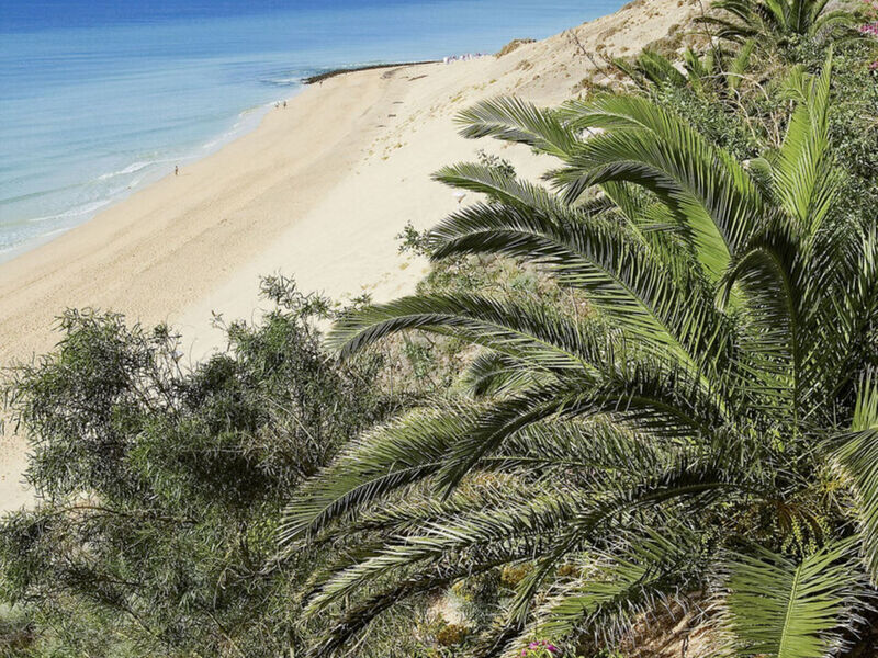 Allsun Esquinzo Beach