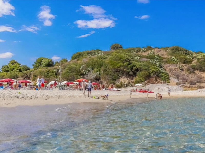 Alma Resort