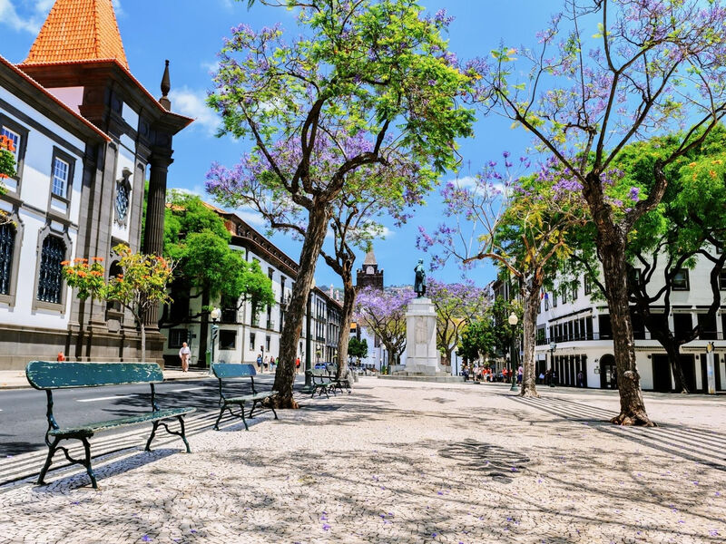 Alojamento Central Ii