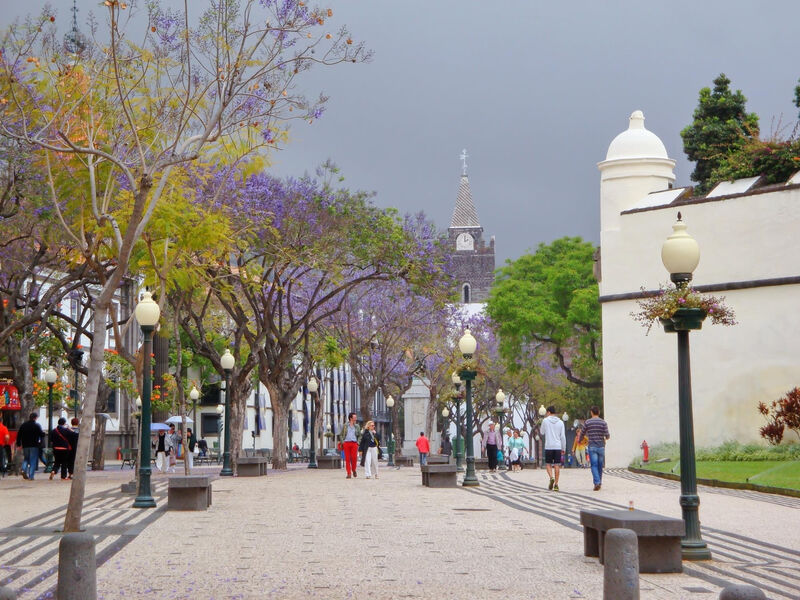 Alojamento Central Ii