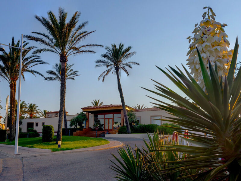 Aluasun Mediterraneo (Ex Bluerooms Palmeras)