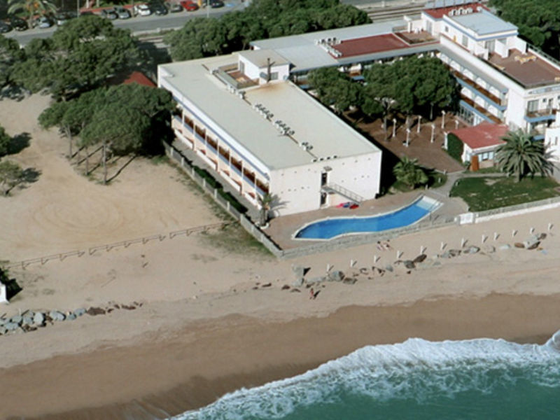 Amaraigua