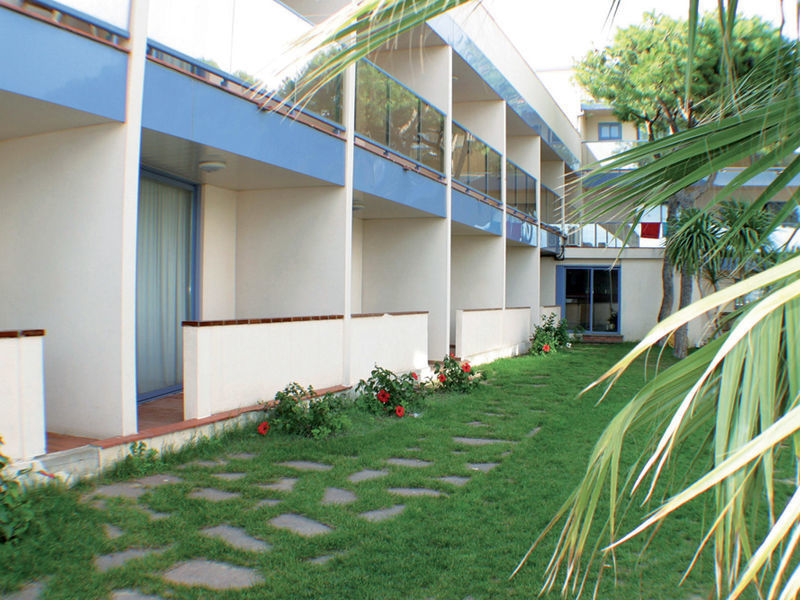 Amaraigua