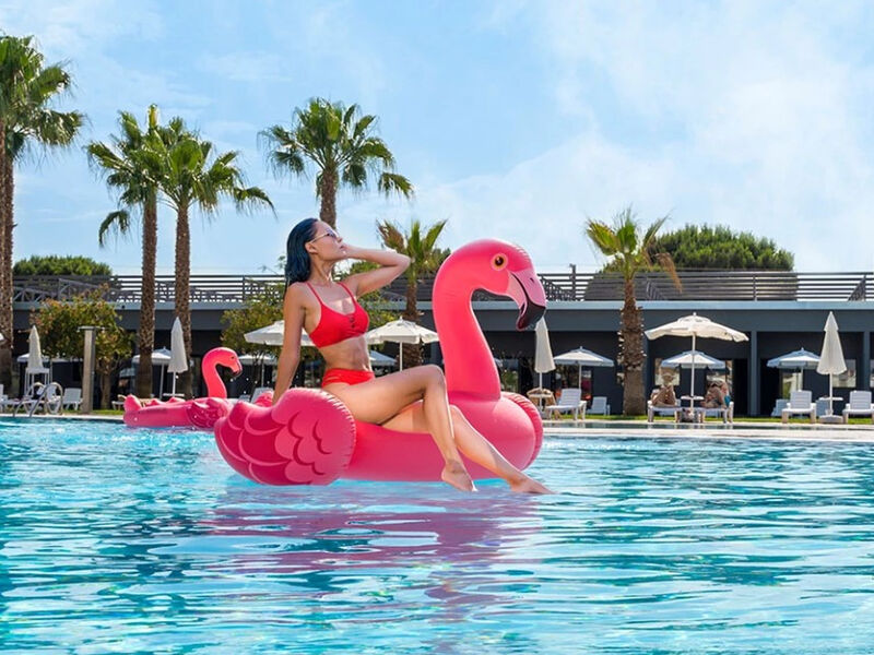 Amon Belek