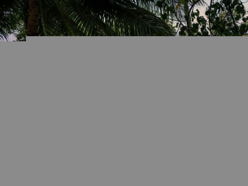 Anantara Veli Maldives Resort